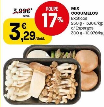 Cogumelos