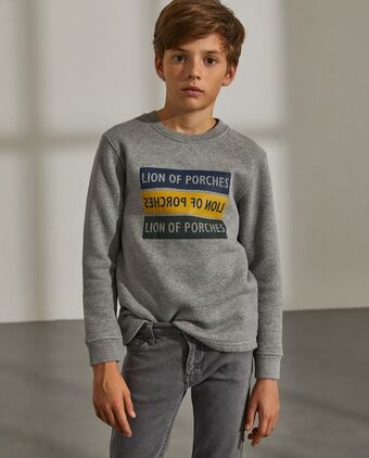 Lion of Porches Sudadera de algodón promoção