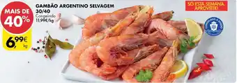 Gambão Argentino Selvagem 30/40