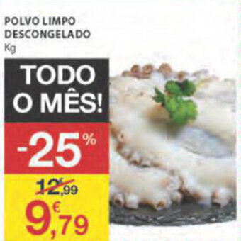 E.Leclerc Polvo Limpo Descongelado promoção
