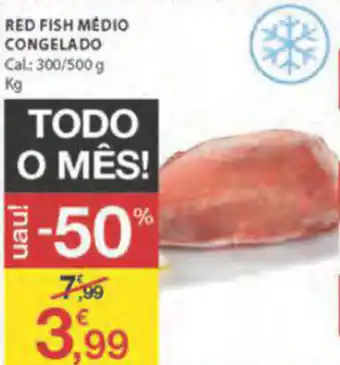 E.Leclerc Red Fish Médio Congelado 300g/500g promoção