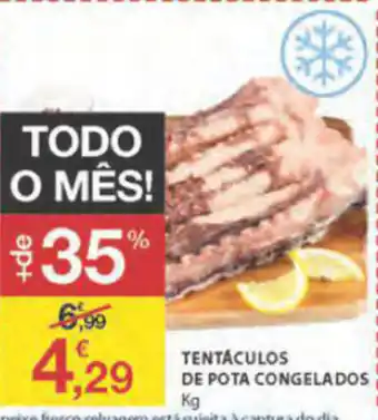 Tentáculos de Pota Congelados