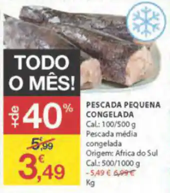 E.Leclerc Pescada Pequena Congelada 100g/500g promoção