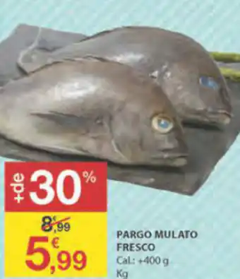 E.Leclerc Pargo Mulato Fresco +400g promoção