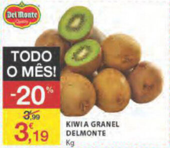 Kiwi a Granel Delmonte