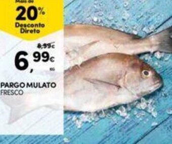 Continente Pargo Mulato promoção