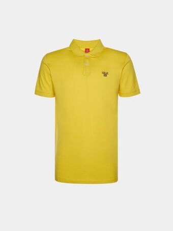 Lion of Porches Polo promoção