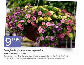 Jardiland Plantas promoção