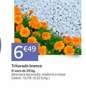 Jardiland Plantas promoção