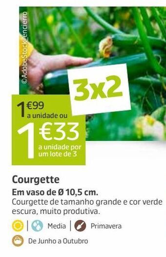 Jardiland Plantas promoção