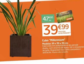 Jardiland Vaso promoção