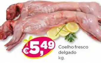 Bolama Coelho fresco degado promoção
