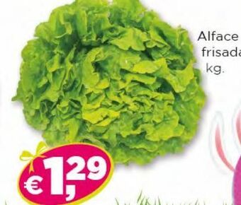 Bolama Alface promoção