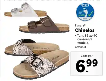 Lidl Chinelos 36 ao 40 promoção