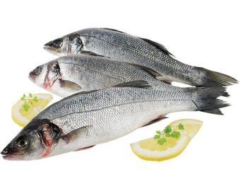 Auchan Robalo fresco inteiro 200/600 kg promoção