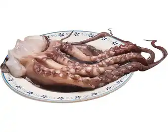 Tentaculos pota congelados kg