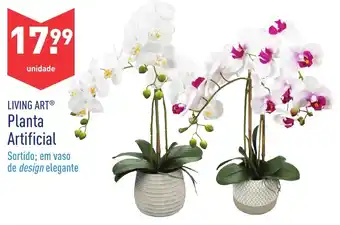 ALDI Planta Artificial promoção