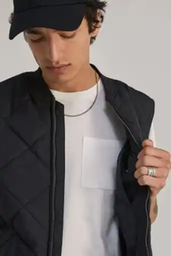 Springfield Colete acolchoado gola bomber promoção