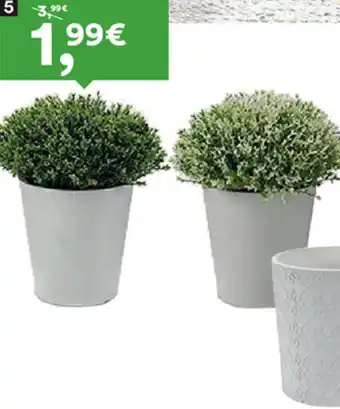 Moviflor Vaso Flor Mini-Sortido 4 cores promoção