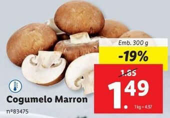 Cogumelos