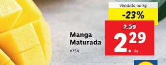 Lidl Manga promoção