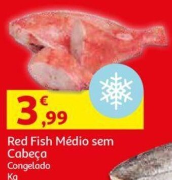 Red Fish Médio sem Cabeça