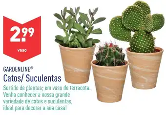 Catos/Suculentas
