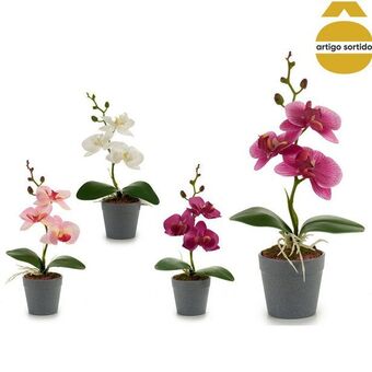 Hôma Vasinho de orquídea com vaso cinza promoção