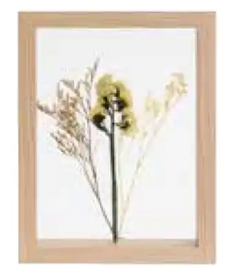 CASA Limonium Decoração de parede promoção