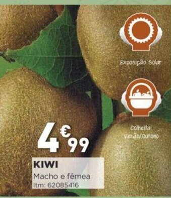 Kiwi