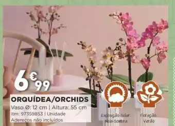 Bricomarché Orquídea/Orchids promoção