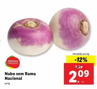 Lidl Nabo sem rama nacional promoção
