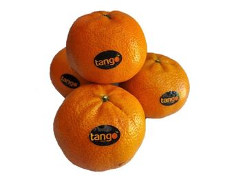 Clementina/mandarina tango