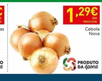 Recheio Cebola nova promoção