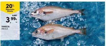 Continente Bom dia Peixe promoção