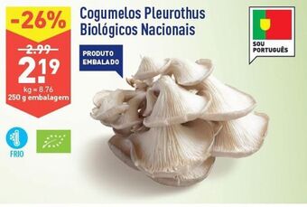 ALDI Cogumelos promoção