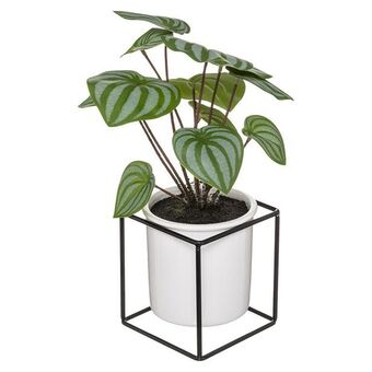 Hôma Planta maranta com vaso em cerâmica 32cm promoção