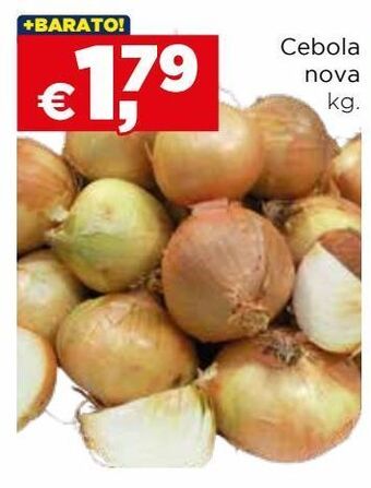 Bolama Cebola promoção