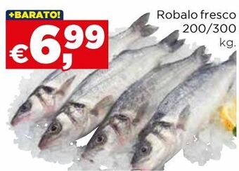 Bolama Robalo promoção