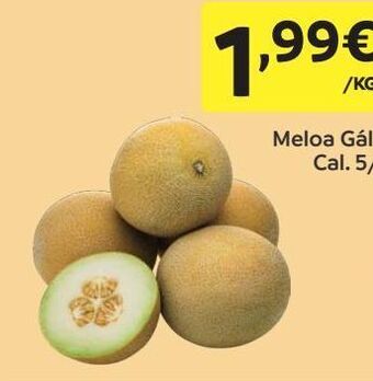 Amanhecer Melão promoção