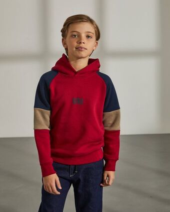 Lion of Porches Camisola com capuz promoção