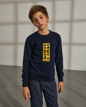 Lion of Porches Sweatshirt de algodão promoção