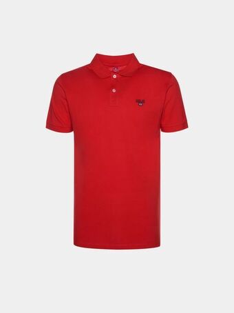 Lion of Porches Polo promoção