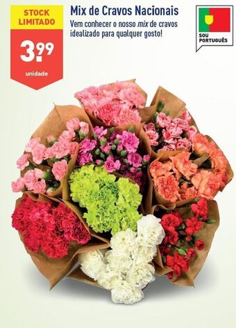ALDI Flores promoção