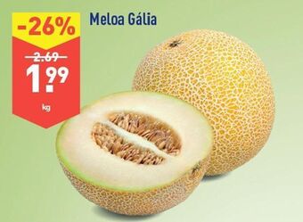 ALDI Melão promoção