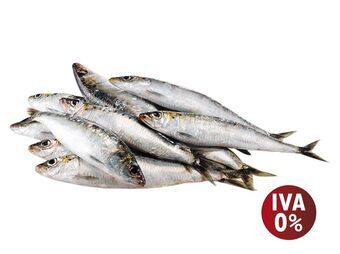 Auchan Sardinha nacional auchan congelada kg promoção