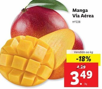 Lidl Manga promoção