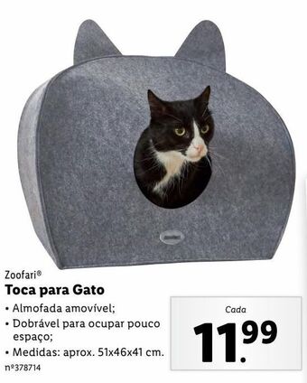 Acessórios para gatos