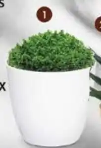 Pingo Doce Hebe Mix promoção