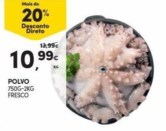 Polvo